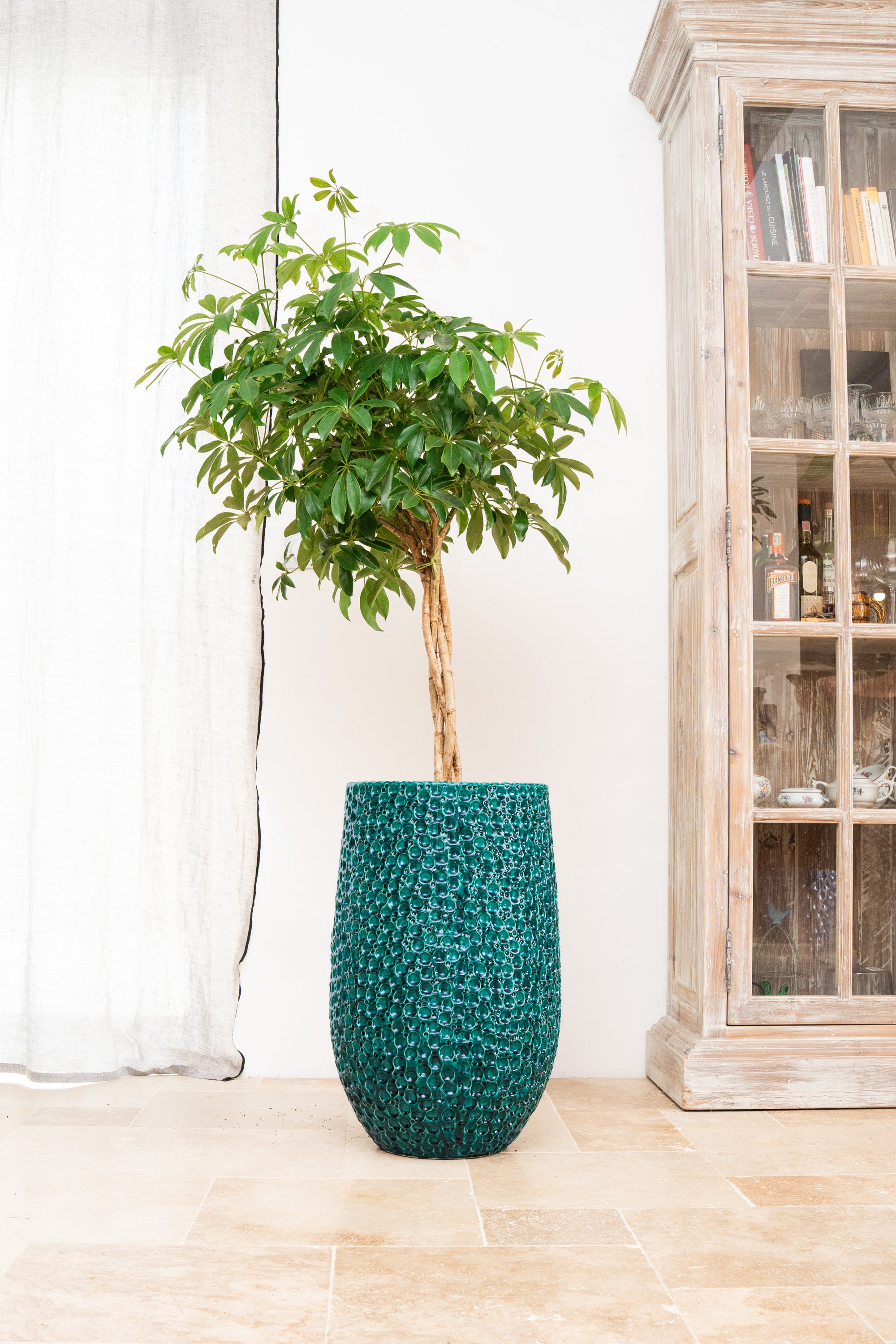 Keramischer Blumentopf Paris – Dunkelgrün