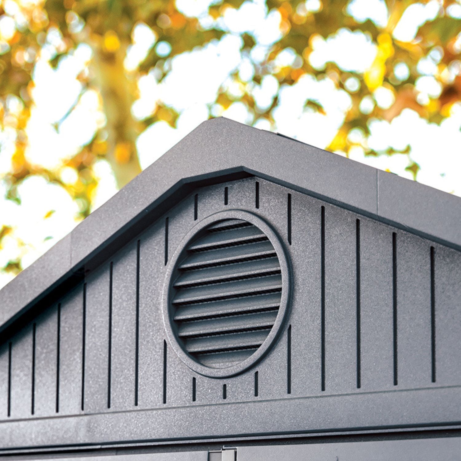 Keter Darwin 6×4 — Gartenhaus, Grau