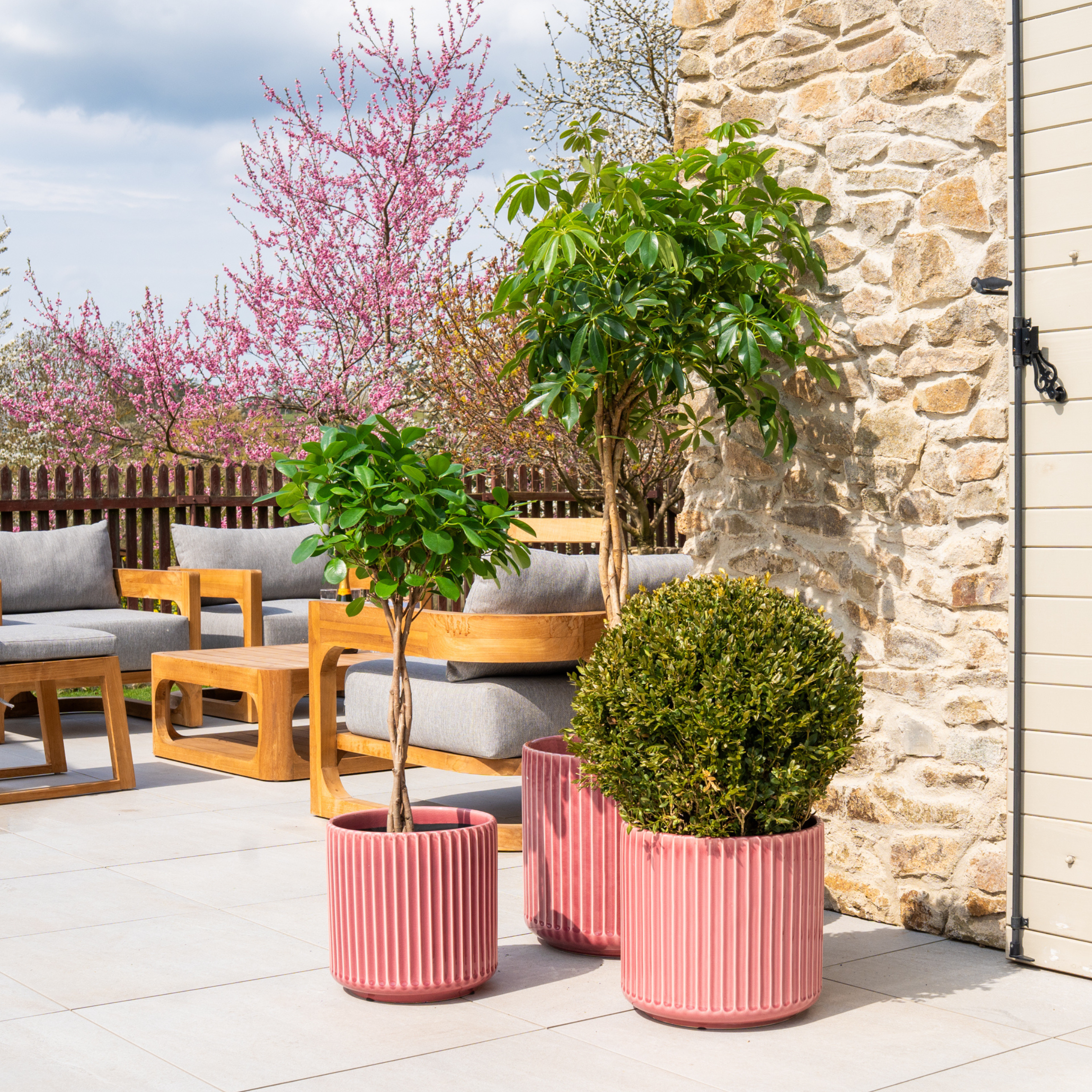 Keramik-Blumentopf LONDON – Rosa