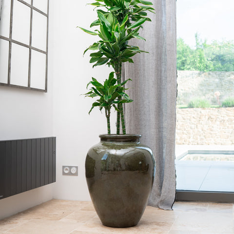 Keramik-Blumentopf DIONYSOS - Tropengrün