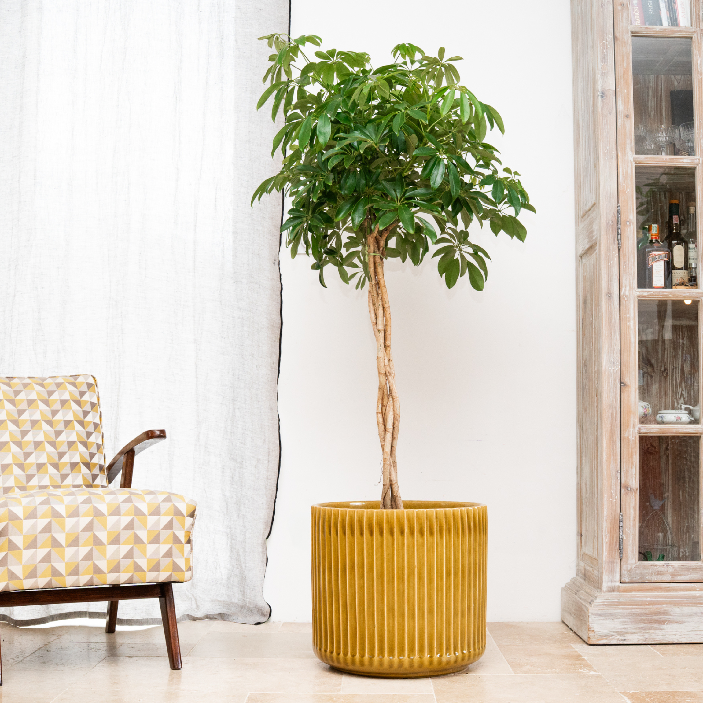 Blumentopf Keramik groß Gelb – winterhart für draußen