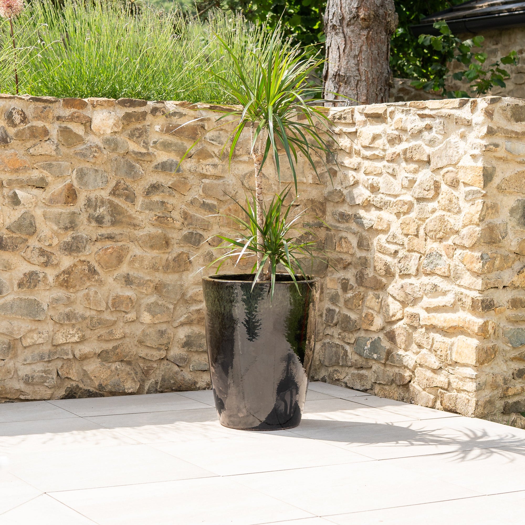 Keramik-Blumentopf MAZARIN - Schwarz/Grün