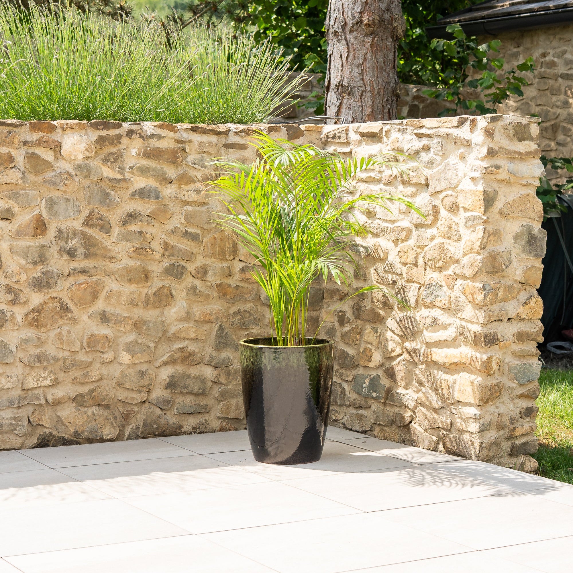 Keramik-Blumentopf MAZARIN - Schwarz/Grün