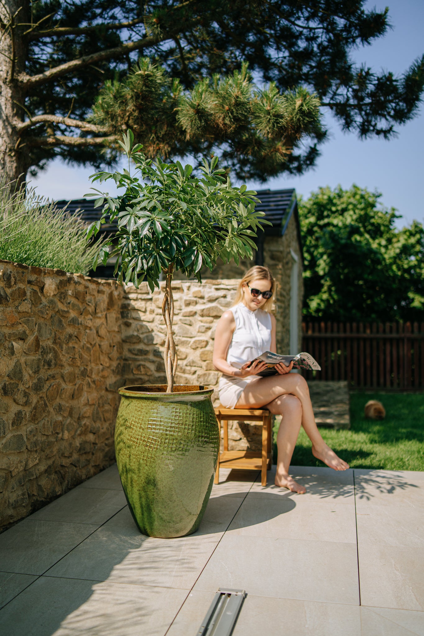 Keramik-Blumentopf POSEIDON - Tropengrün