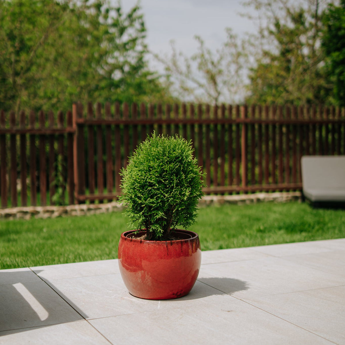 ROMULUS Tropenrot Keramik-Topf – Provencelia, für Garten und Terrasse