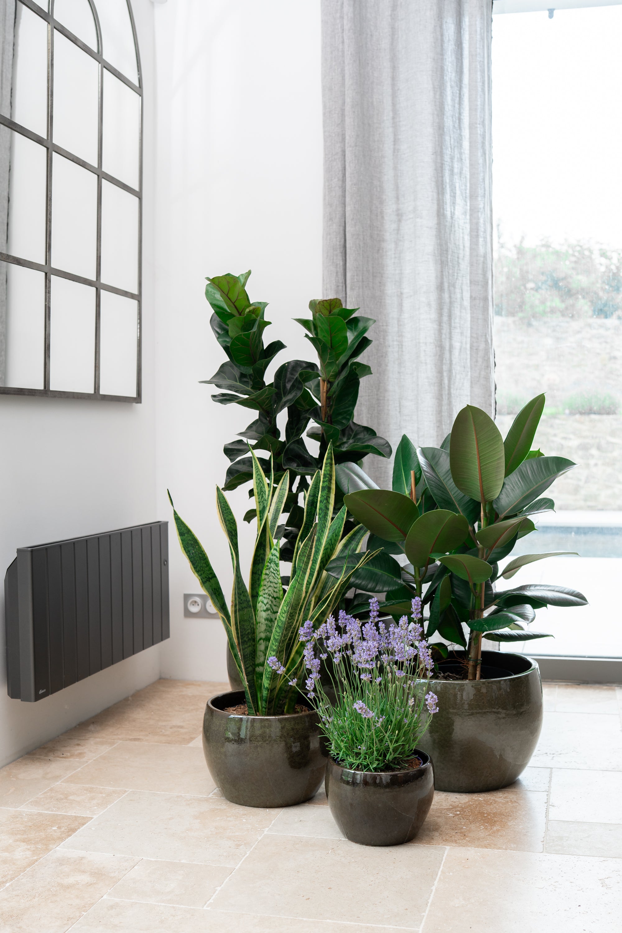 Keramik-Blumentopf Romulus - Tropengrün