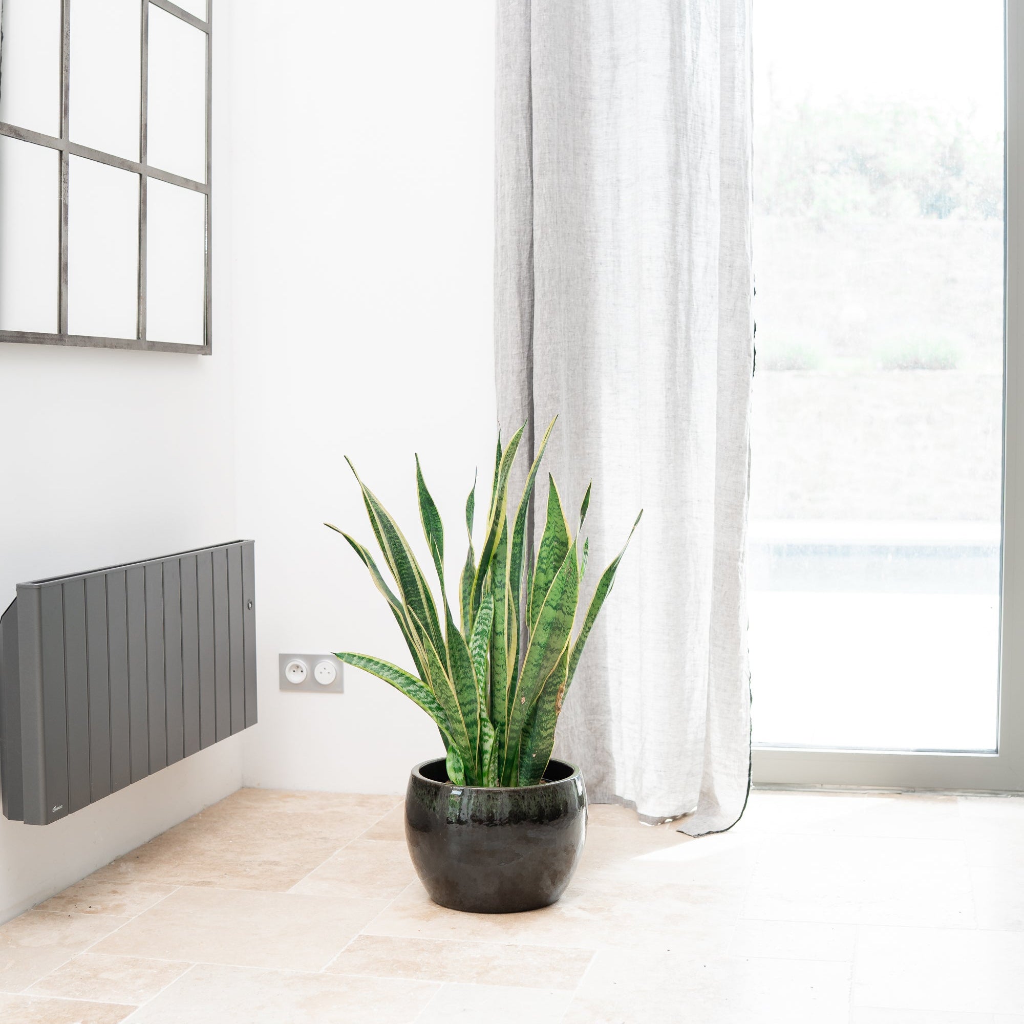 Keramik-Blumentopf ROMULUS - Schwarz/Grün