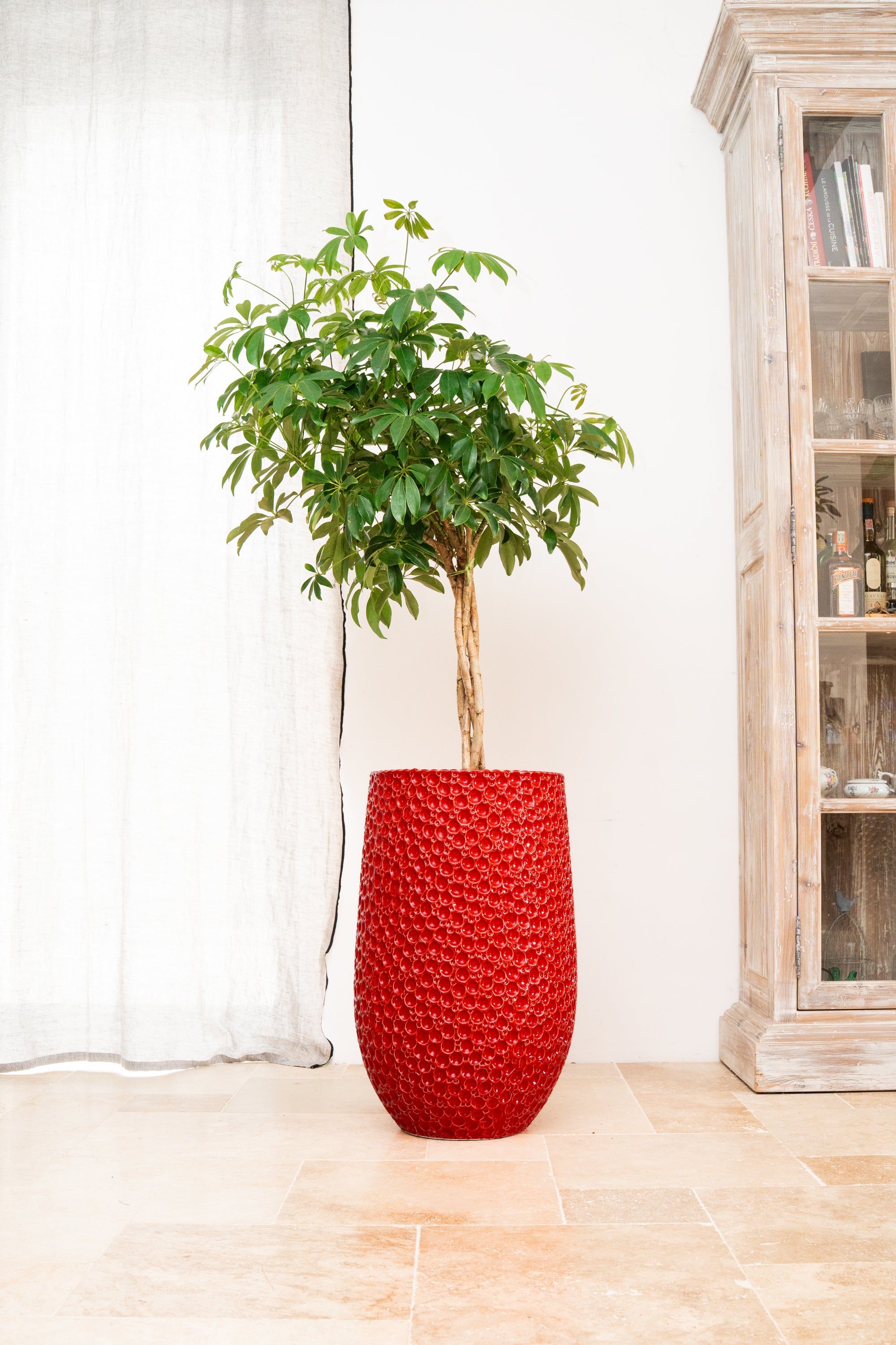 Keramik-Blumentopf Paris – Rot