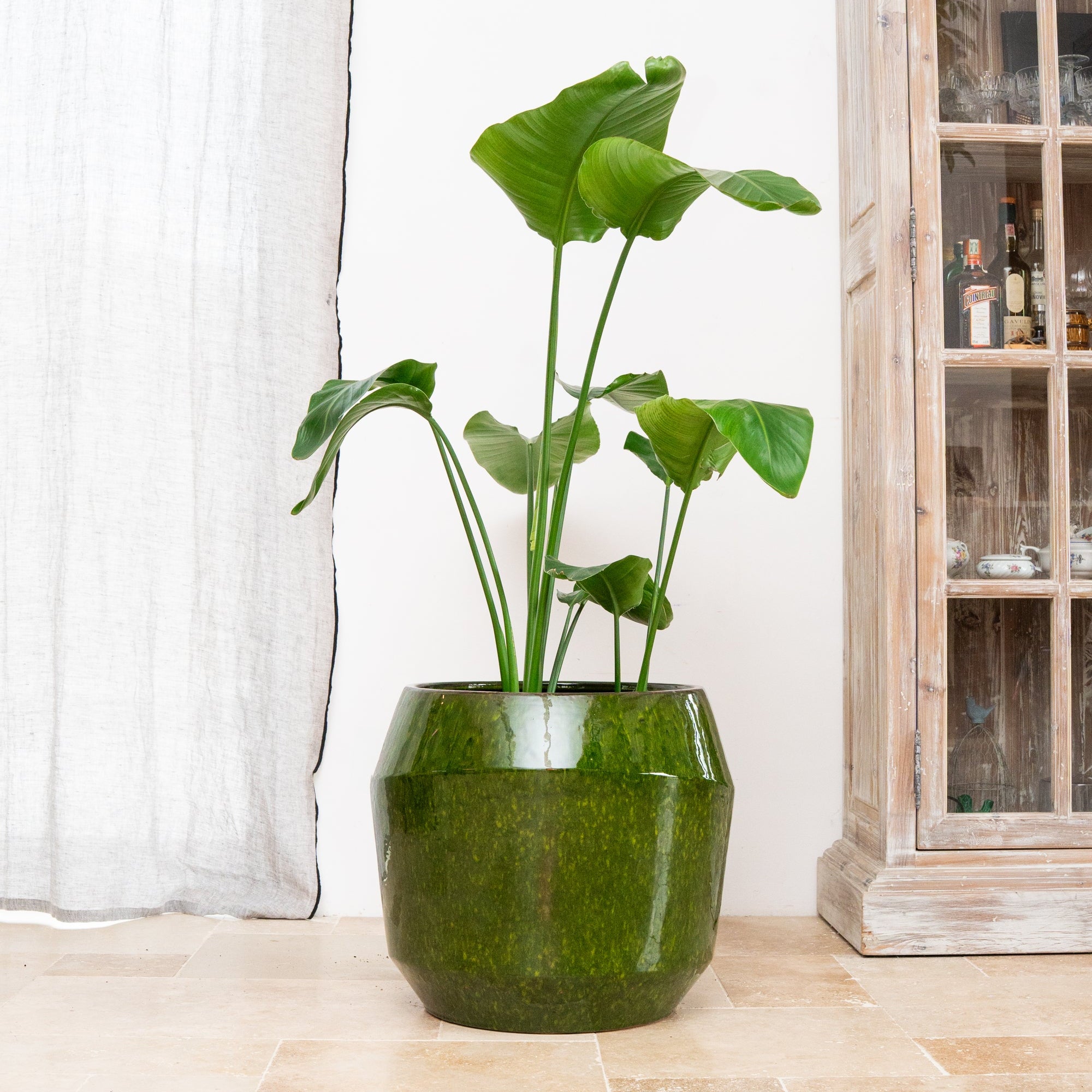 Keramik-Blumentopf MONACO - Grün