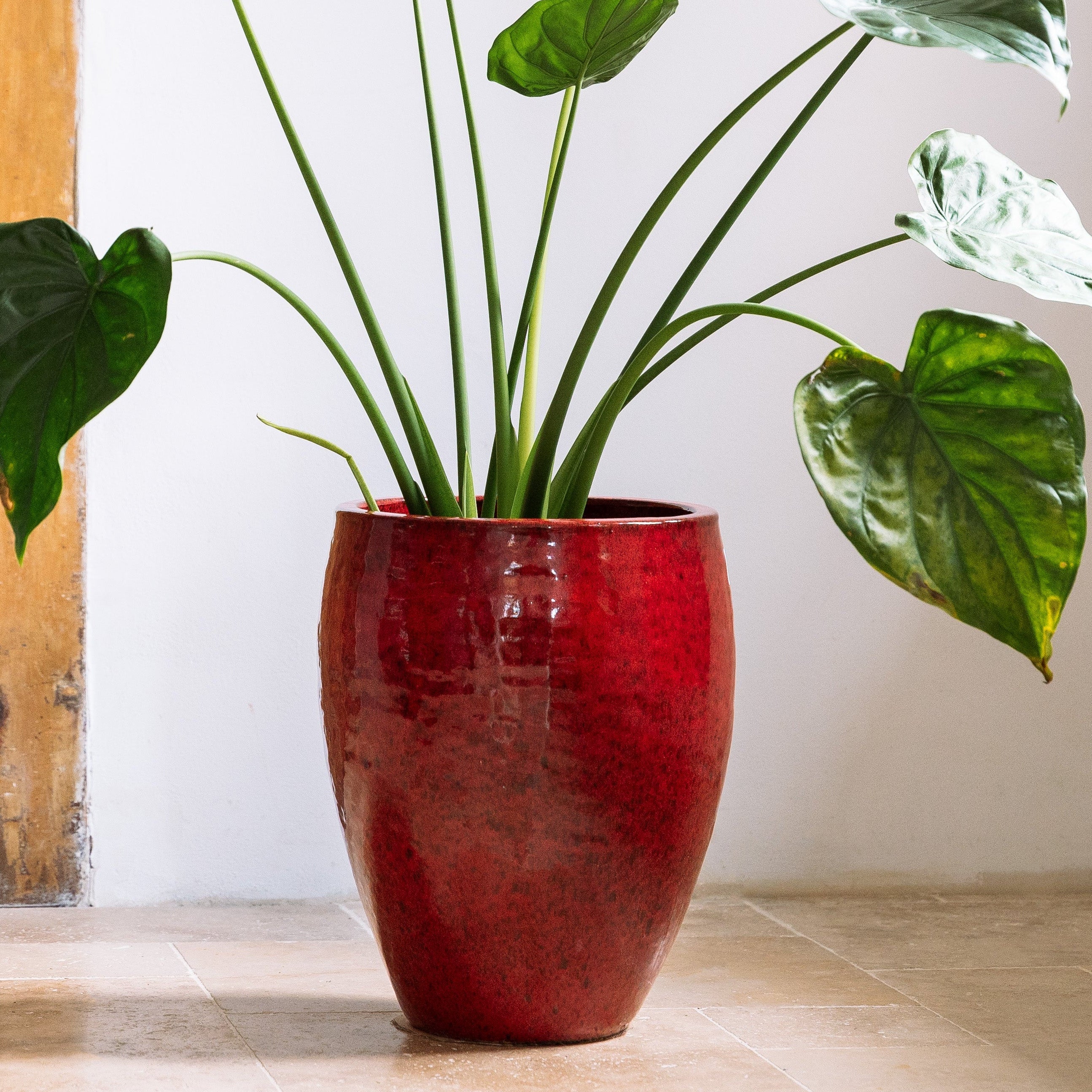 Keramik-Blumentopf POSEIDON - Tropenrot