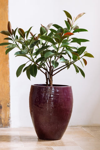 Keramik-Blumentopf POSEIDON - Herbstliches Lila