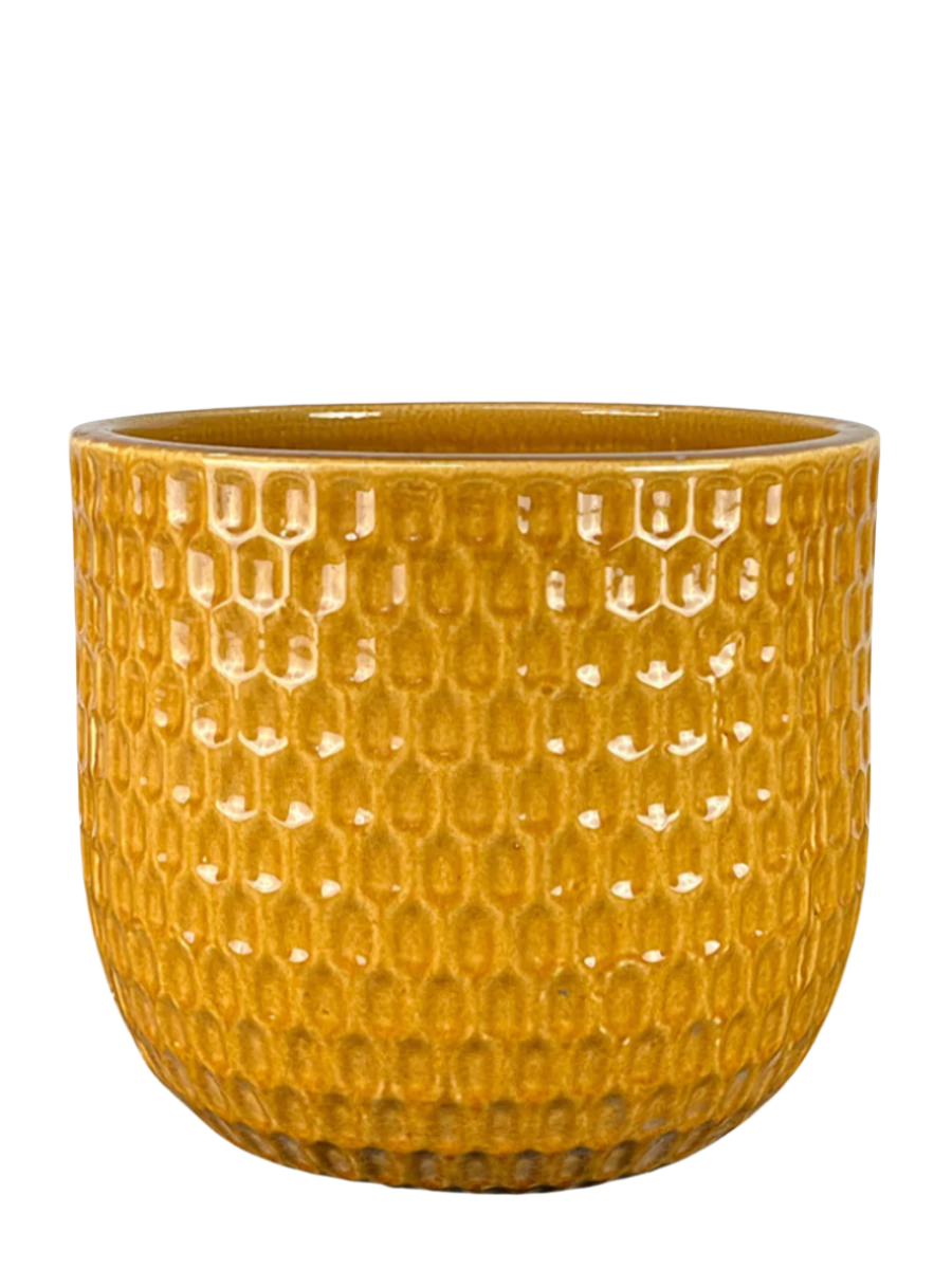 Neptun-Keramik-Blumentopf – honiggelb