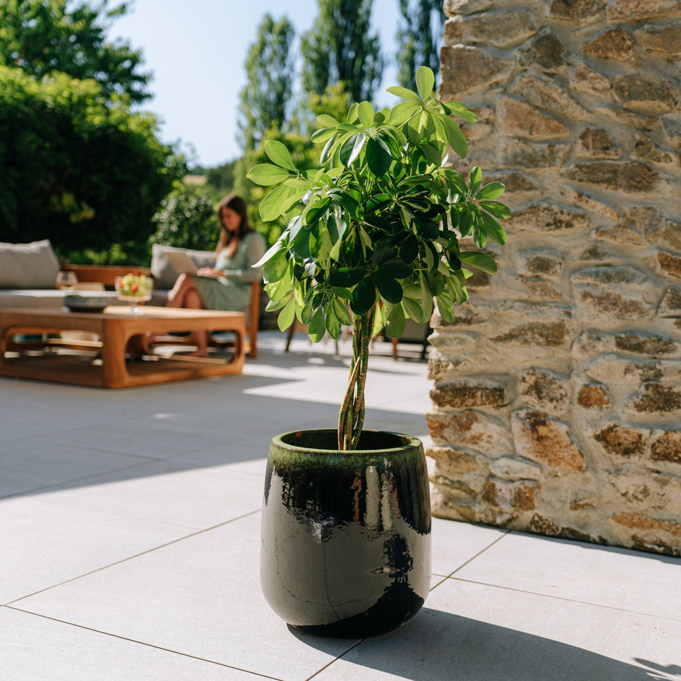 Keramik-Blumentopf SOCRATE - Schwarz/Grün