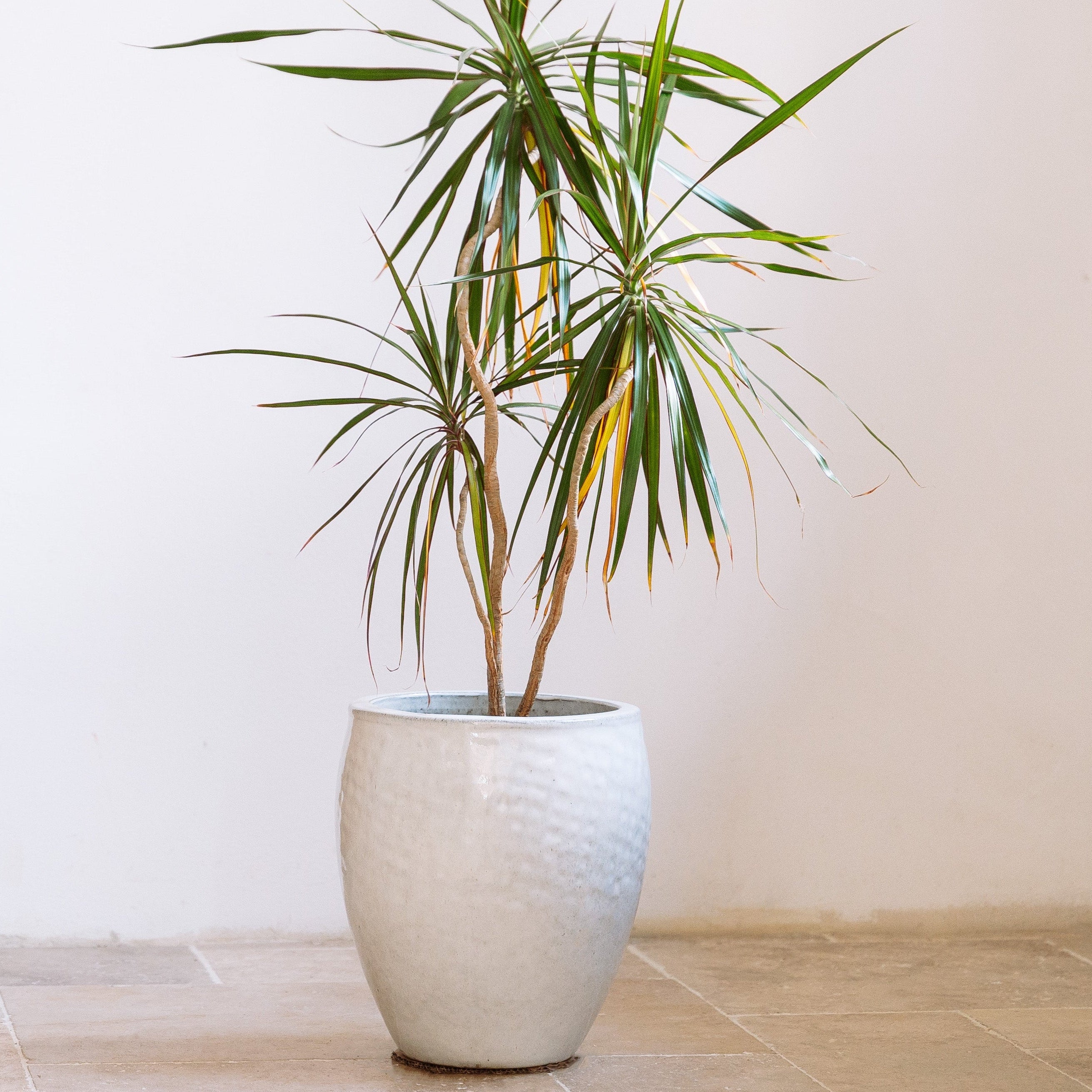 Keramik-Blumentopf POSEIDON - Weiß