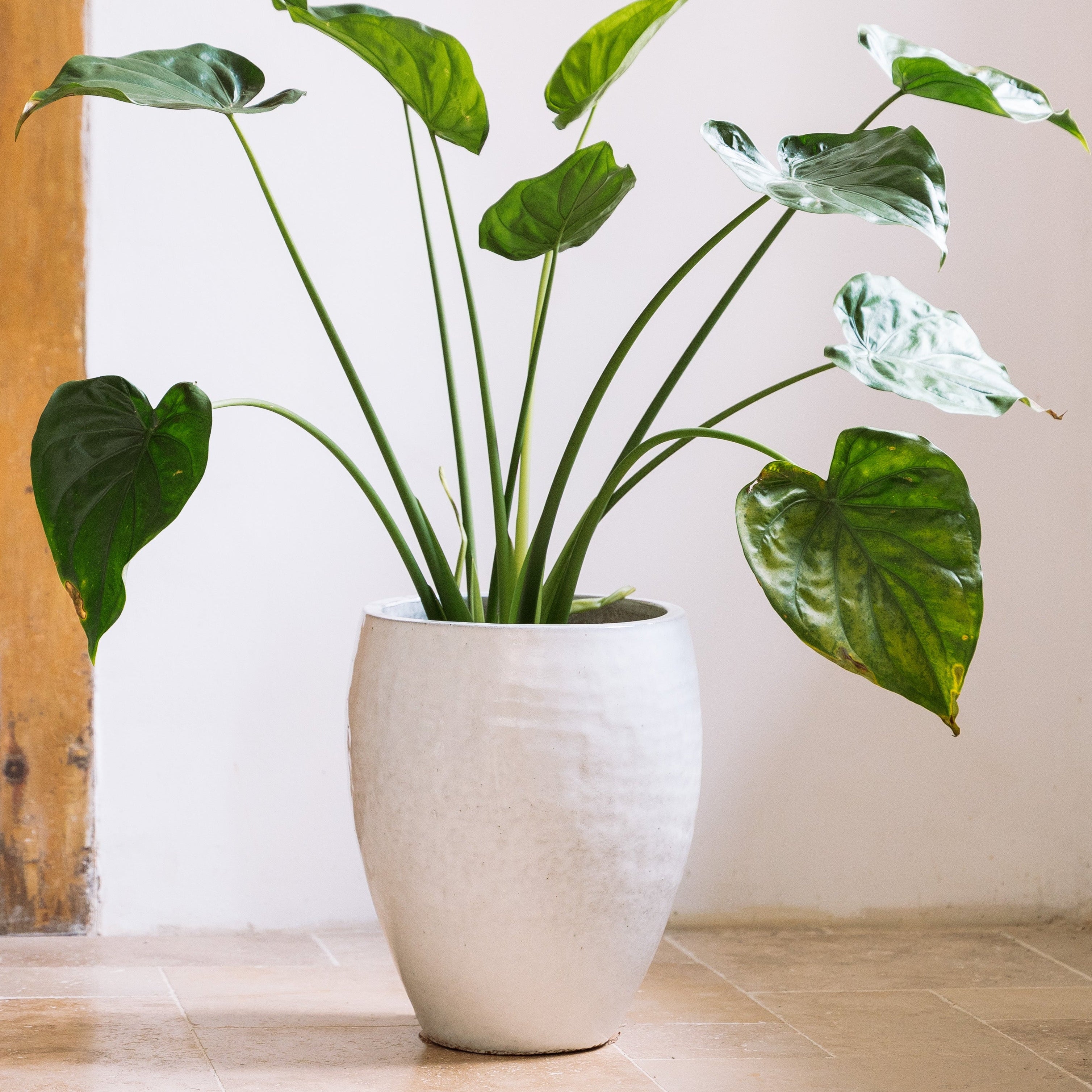 Keramik-Blumentopf POSEIDON - Weiß