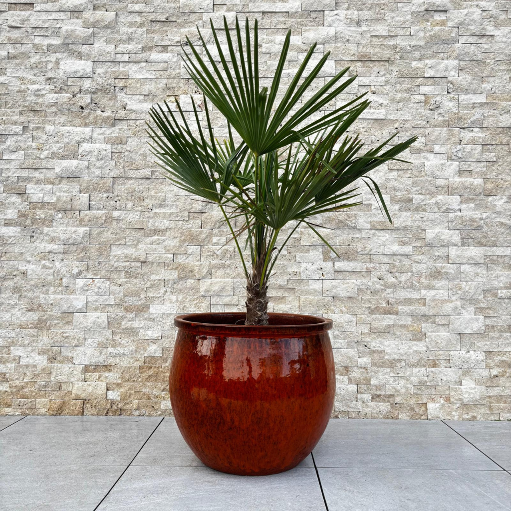 Keramik-Pflanzkübel NEWTON – Tropisches Orange, XL (55 cm x 46 cm)