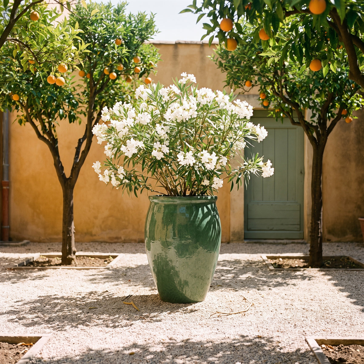 Keramik Pflanzkübel BACCHUS - Nephrit - XXL (50 cm x 68 cm)