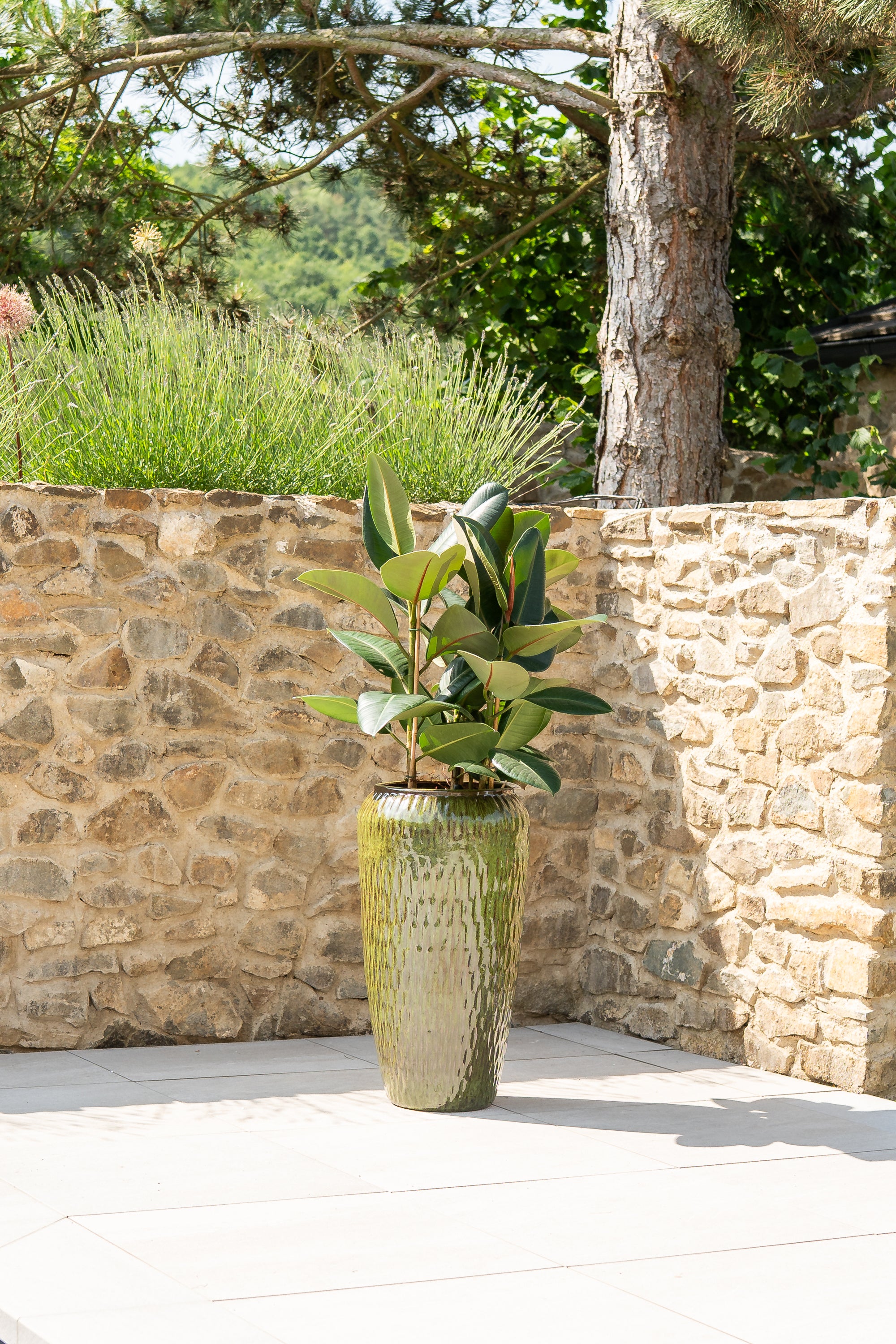 Keramik-Blumentopf Pompadour - Tropisches Grün
