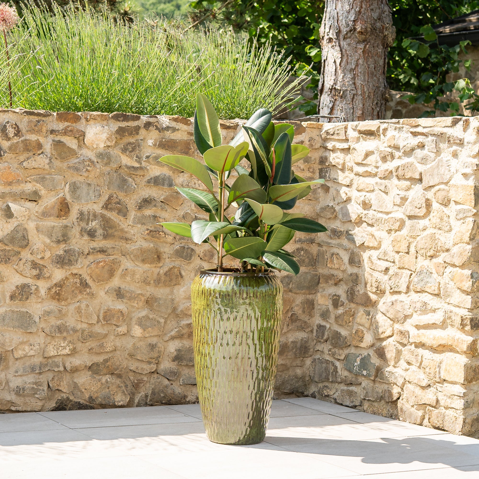 POMPADOUR Tropengrün Keramik-Topf – Provencelia, für Garten und Terrasse