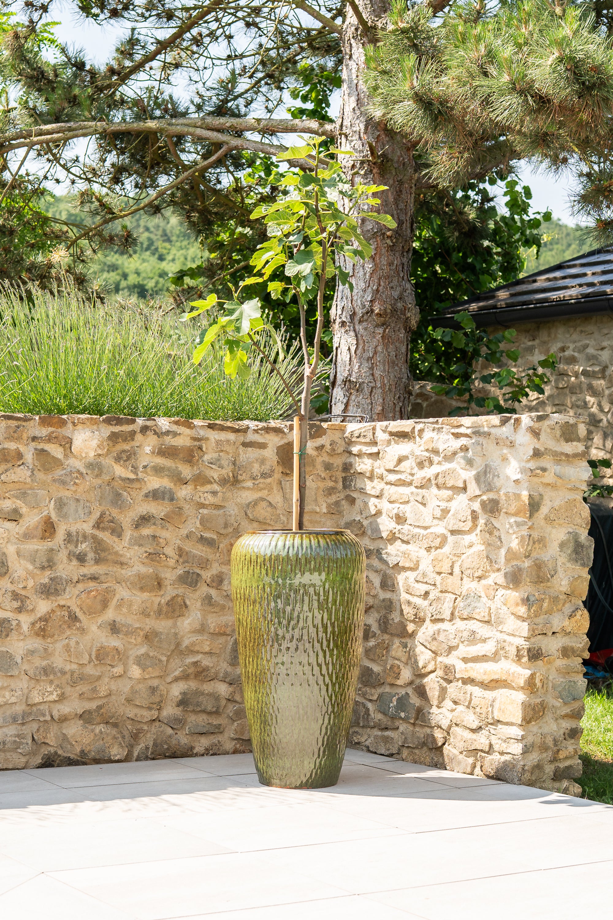 Keramik-Blumentopf Pompadour - Tropisches Grün