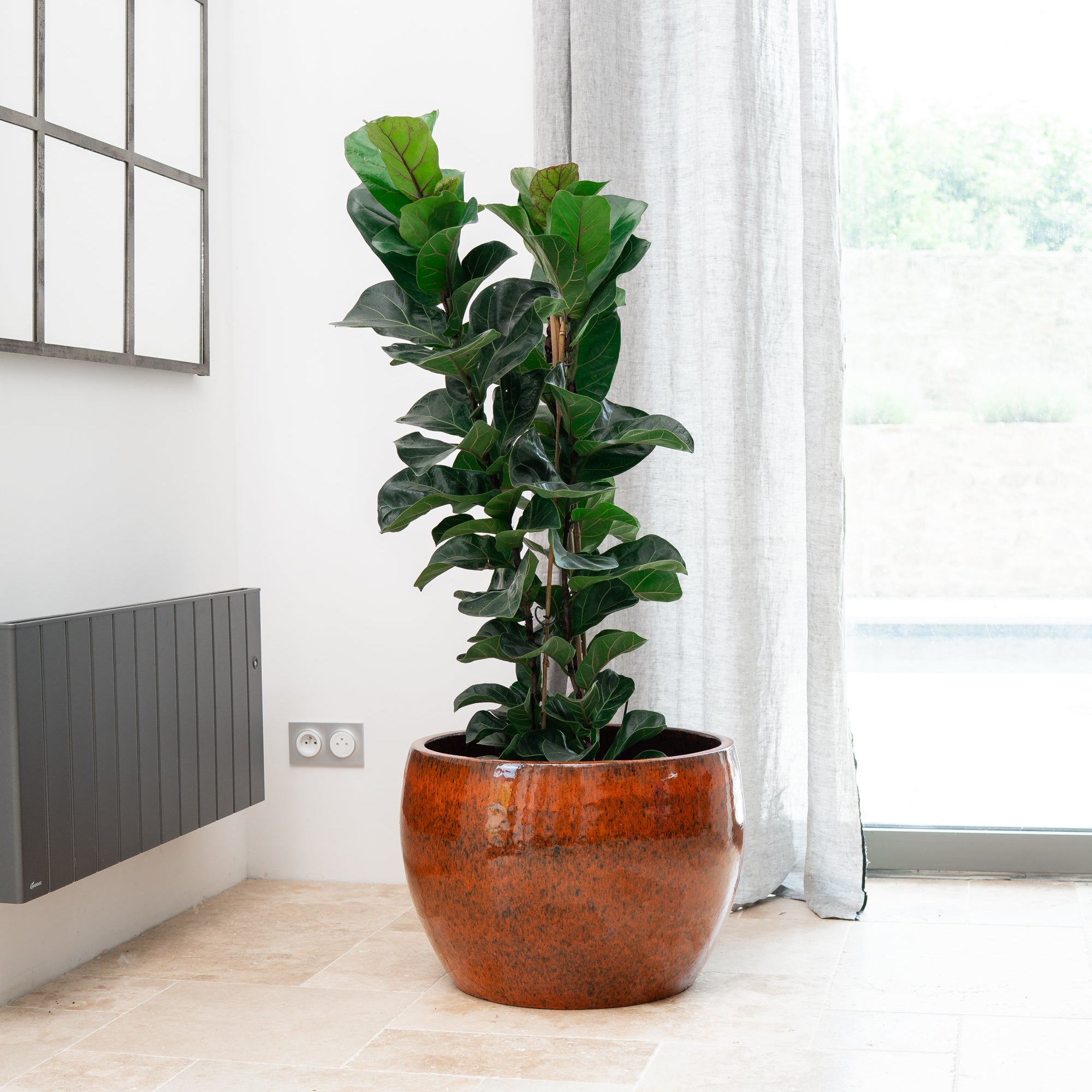 Keramik-Blumentopf ROMULUS - Tropisches Orange