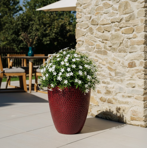 Keramik-Blumentopf CIGALINE - Imperialrot