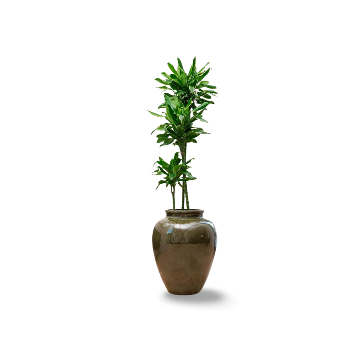 Blumentopf DIONYSOS Tropengrün – handgefertigte Keramik, XXL bis 68 cm