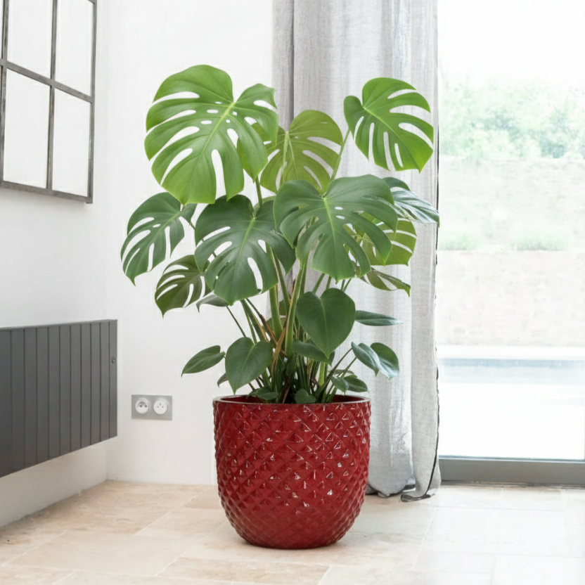 Keramik-Blumentopf MARS - Imperialrot