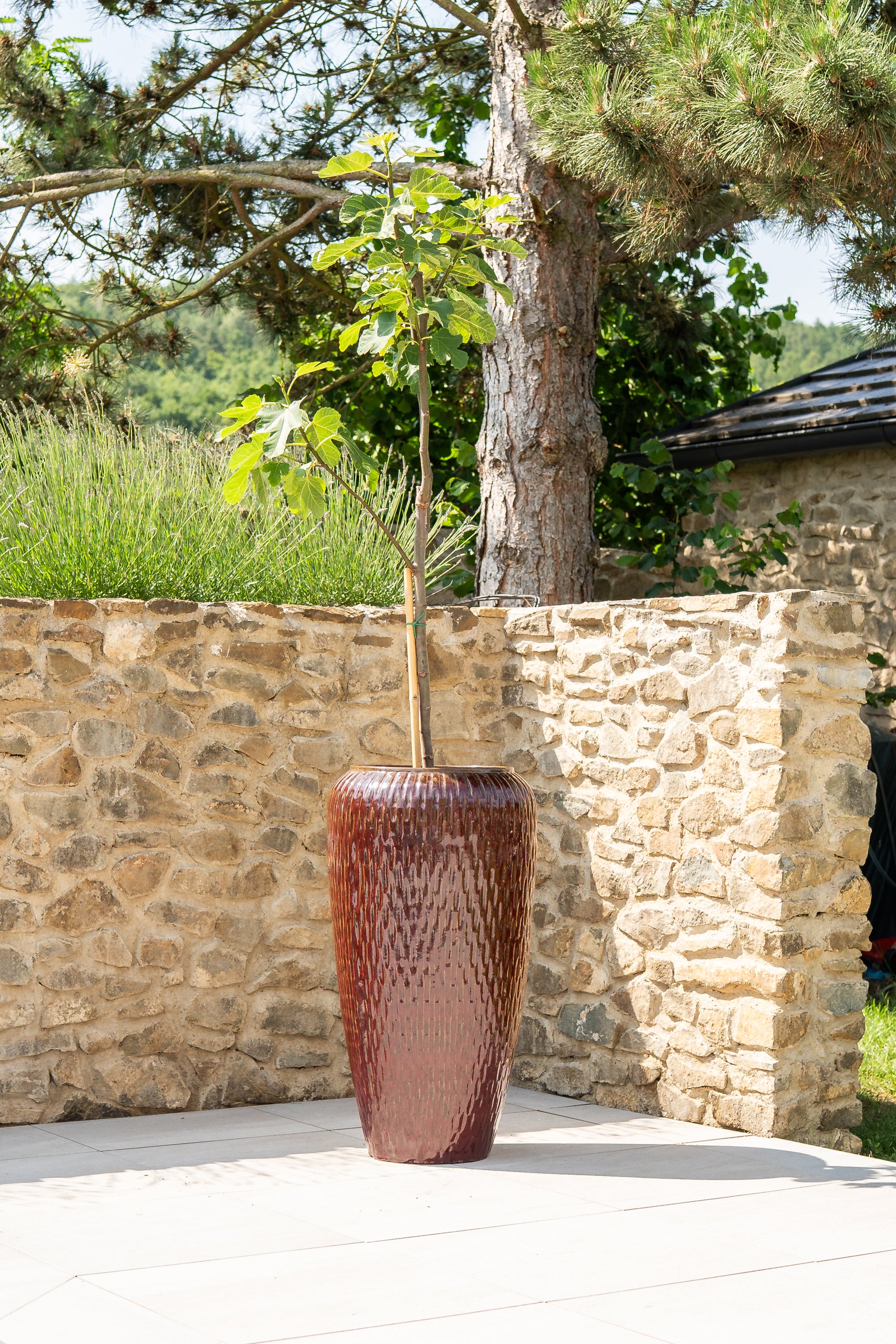 Keramik-Blumentopf Pompadour - Ziegelrot