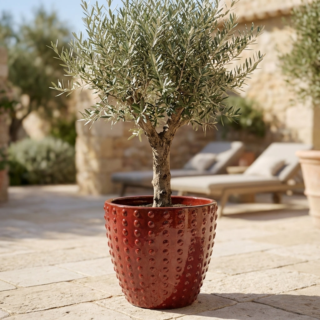 Ručně vyráběný keramický květináč Attila Císařsky červený z terakoty s levandulí na kamenné dlažbě slunné terasy.