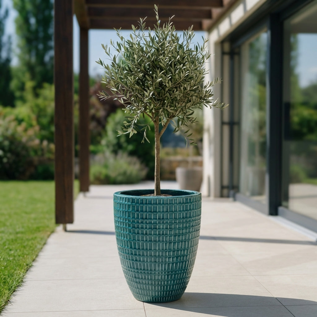 Detailní pohled na velký keramický květináč Verne - Tyrkysový s okrasným stromkem na moderní prosluněné terase.