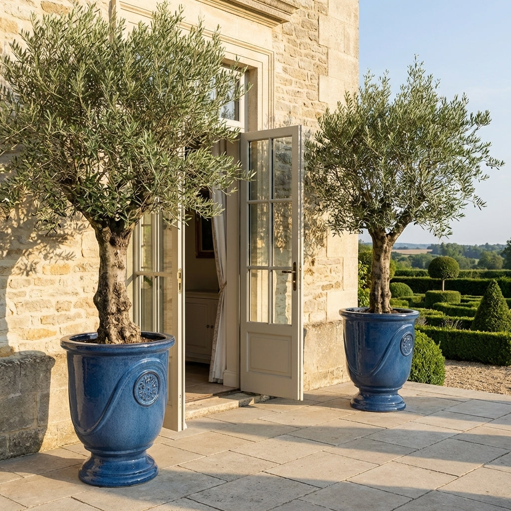 Detail ručně vyráběného glazovaného keramického květináče Moliere Anticky modrý z terakoty s ozdobným reliéfem a olivovníkem na slunné terase.