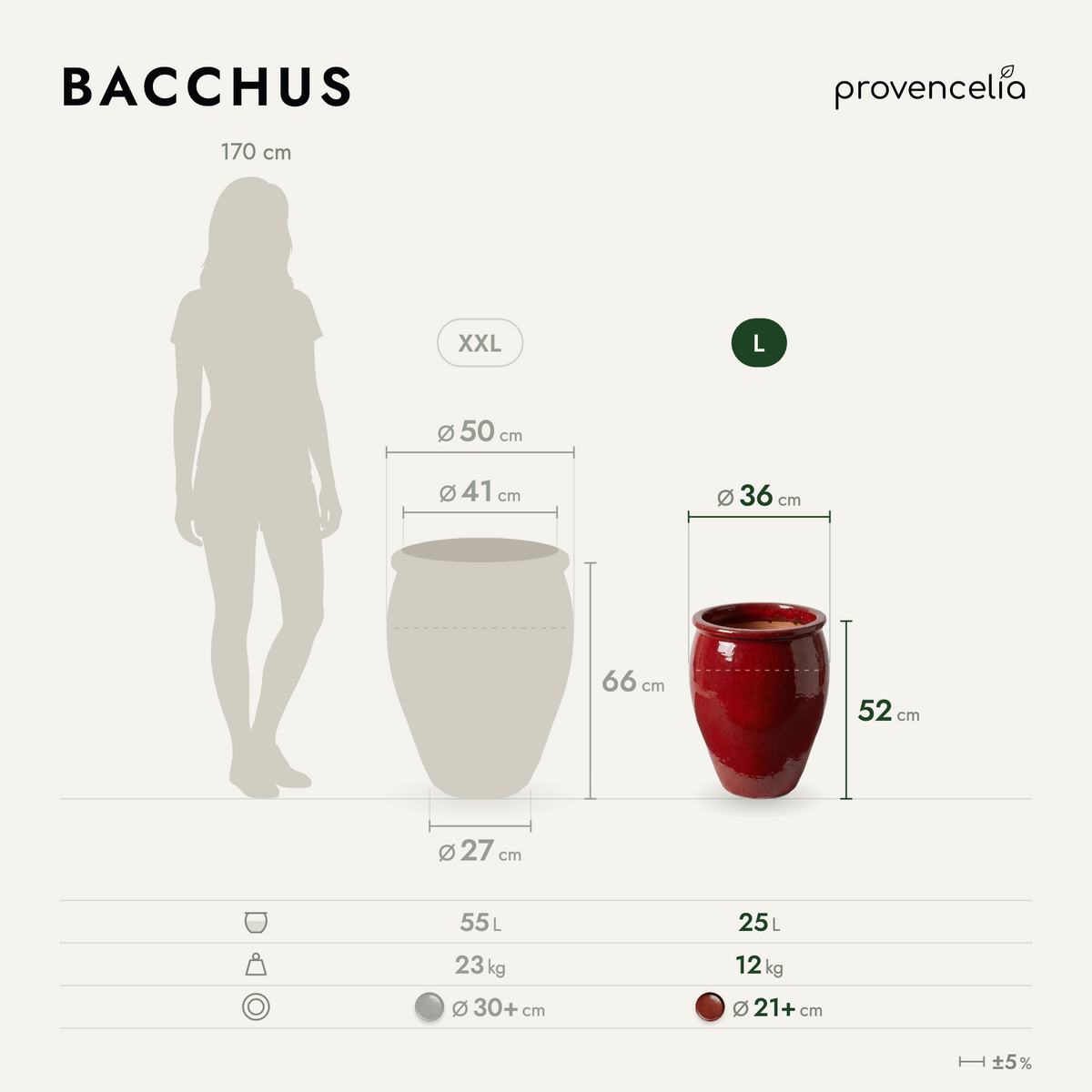 BACCHUS L – Maße