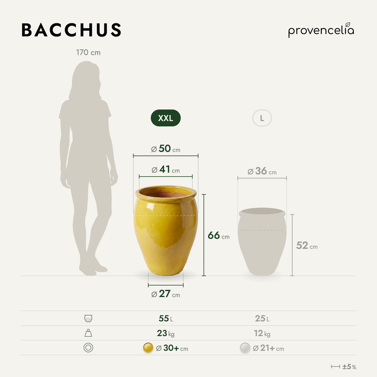 BACCHUS XXL – Maße