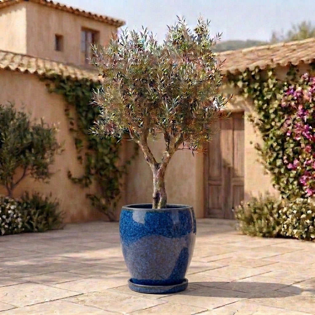 Untersetzer Keramik Majorelle-Blau für Pflanzkübel – glasiert & frostsicher