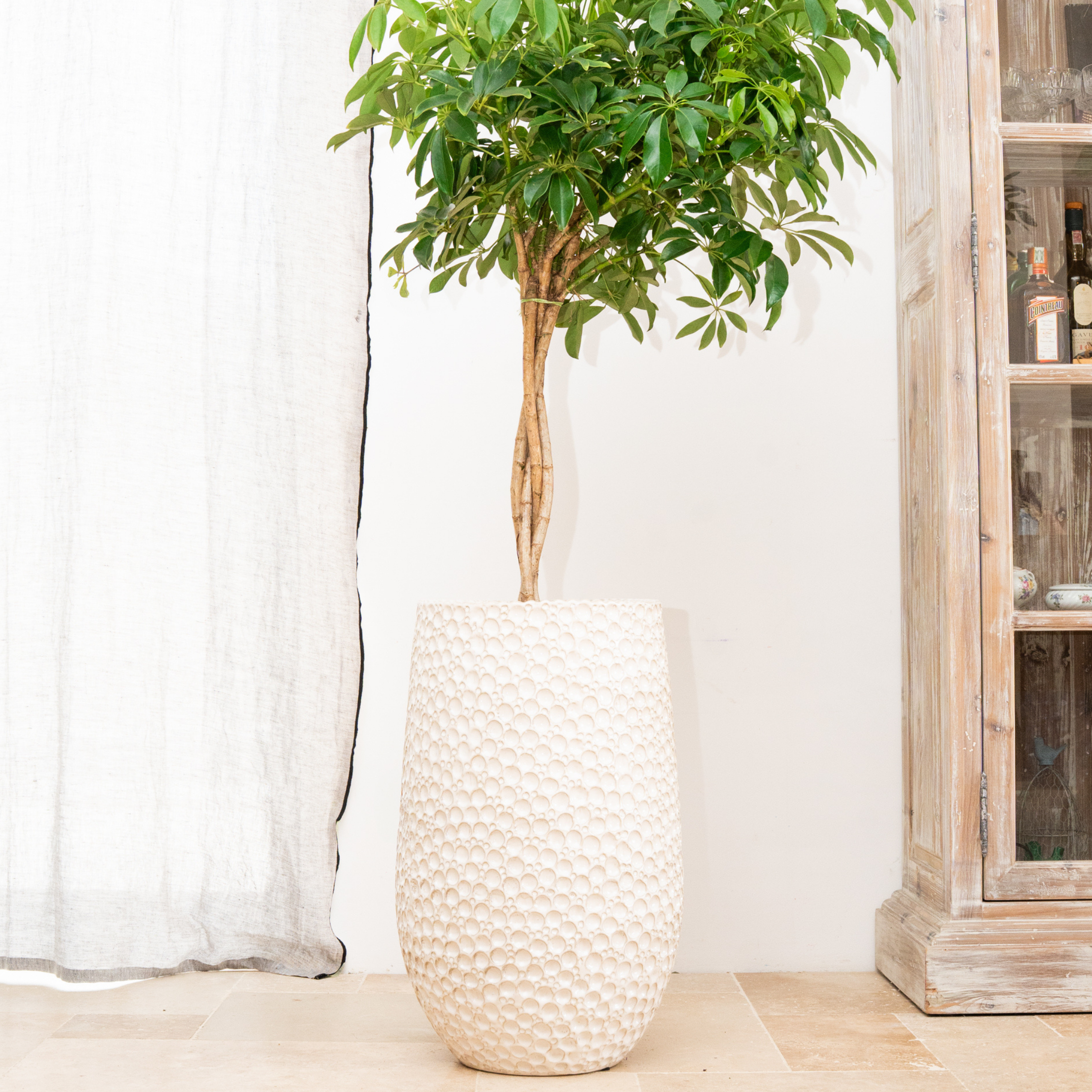 Großer Keramik-Blumentopf PARIS - Weiß