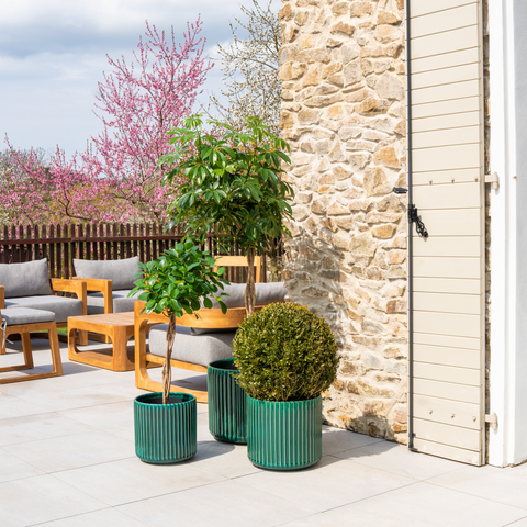 Keramik-Blumentopf LONDON - Dunkelgrün