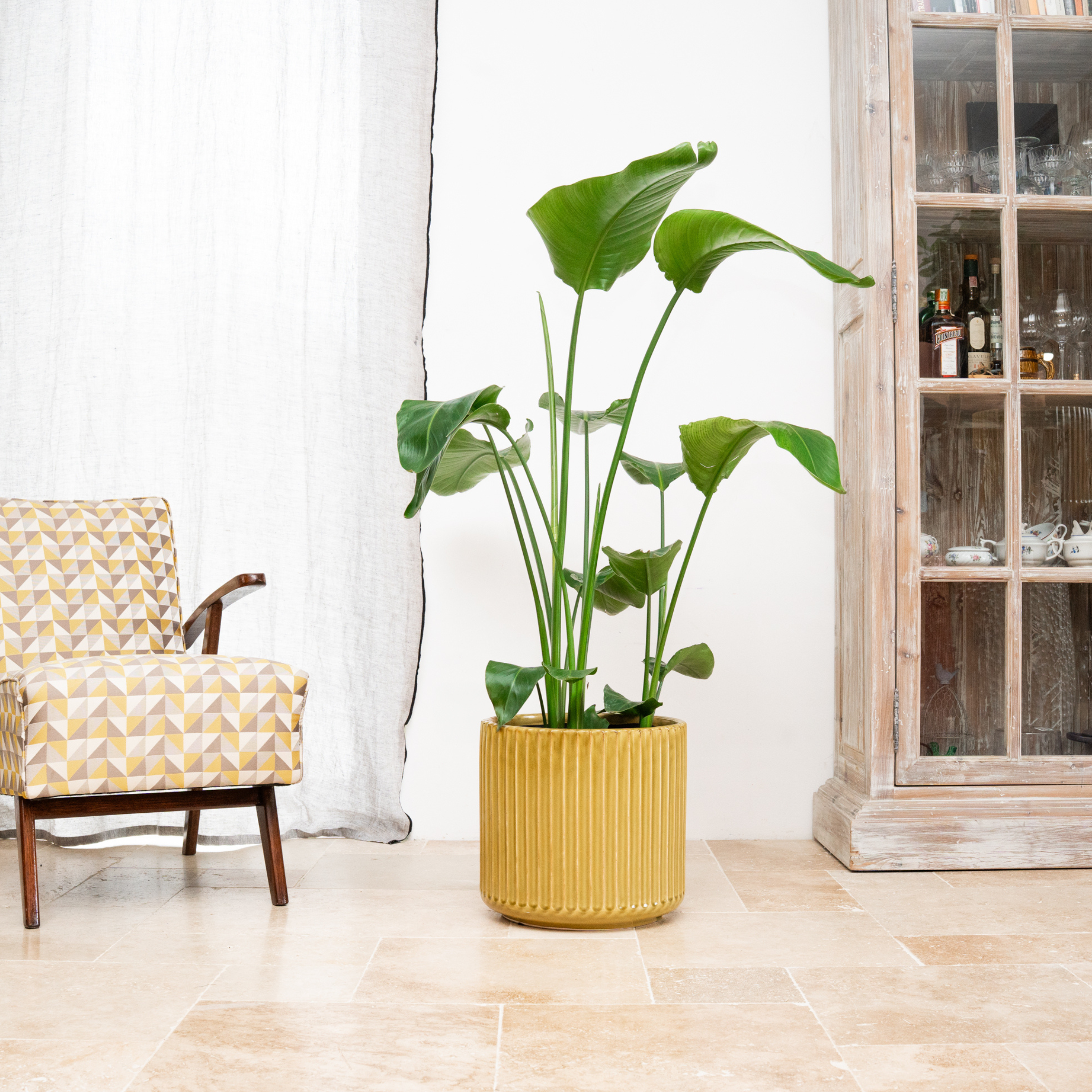 Keramik-Blumentopf LONDON – Gelb