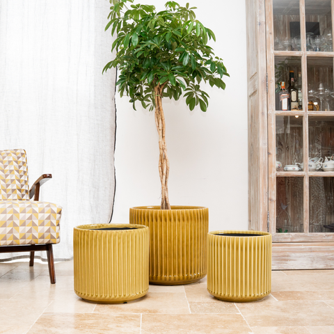 Keramik-Blumentopf LONDON – Gelb