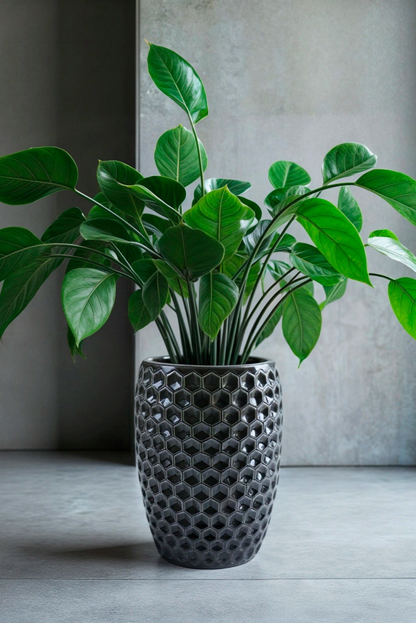 Keramischer Blumentopf Versaille – Schwarz