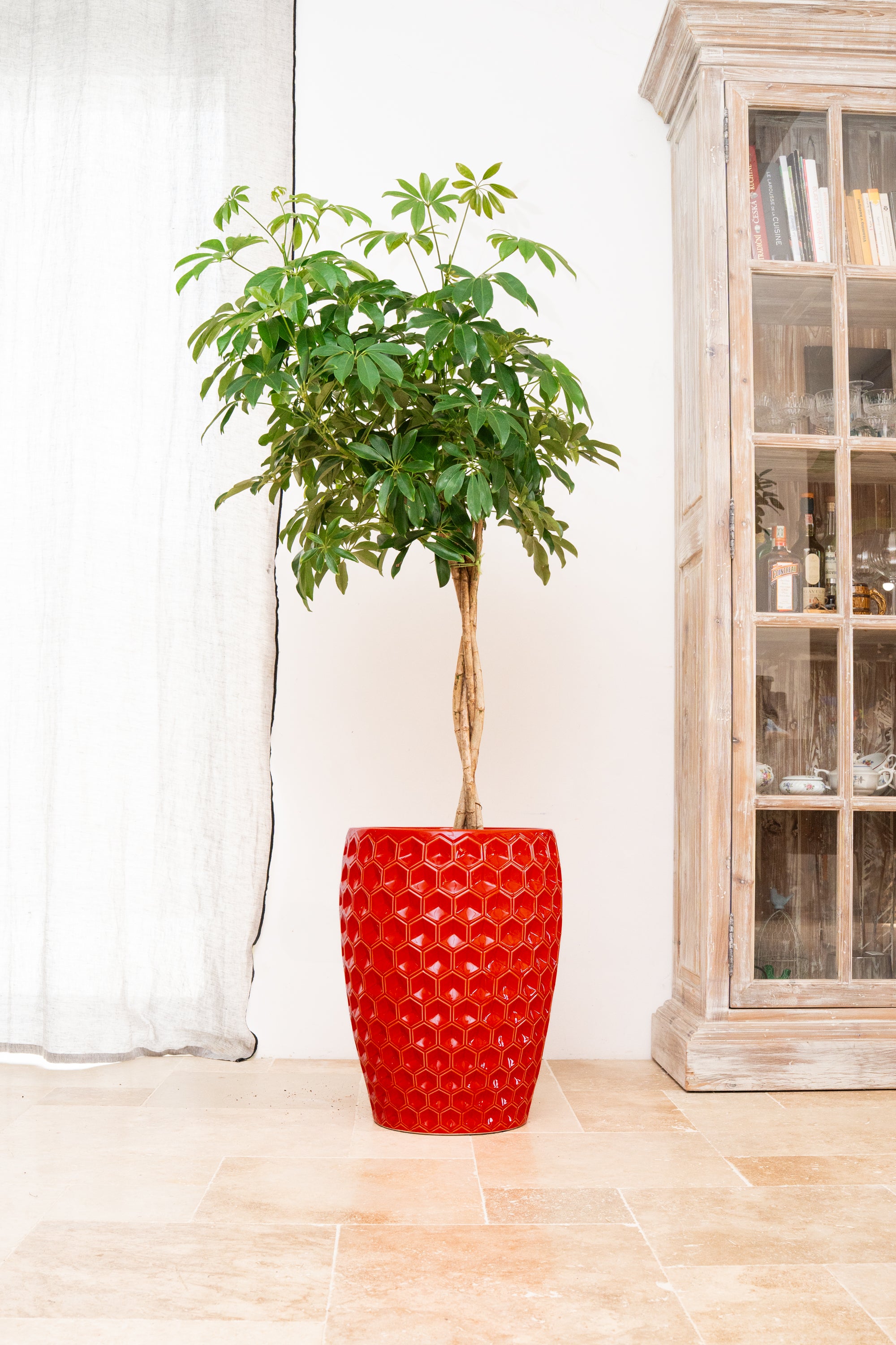 Keramischer Blumentopf Versaille – Rot