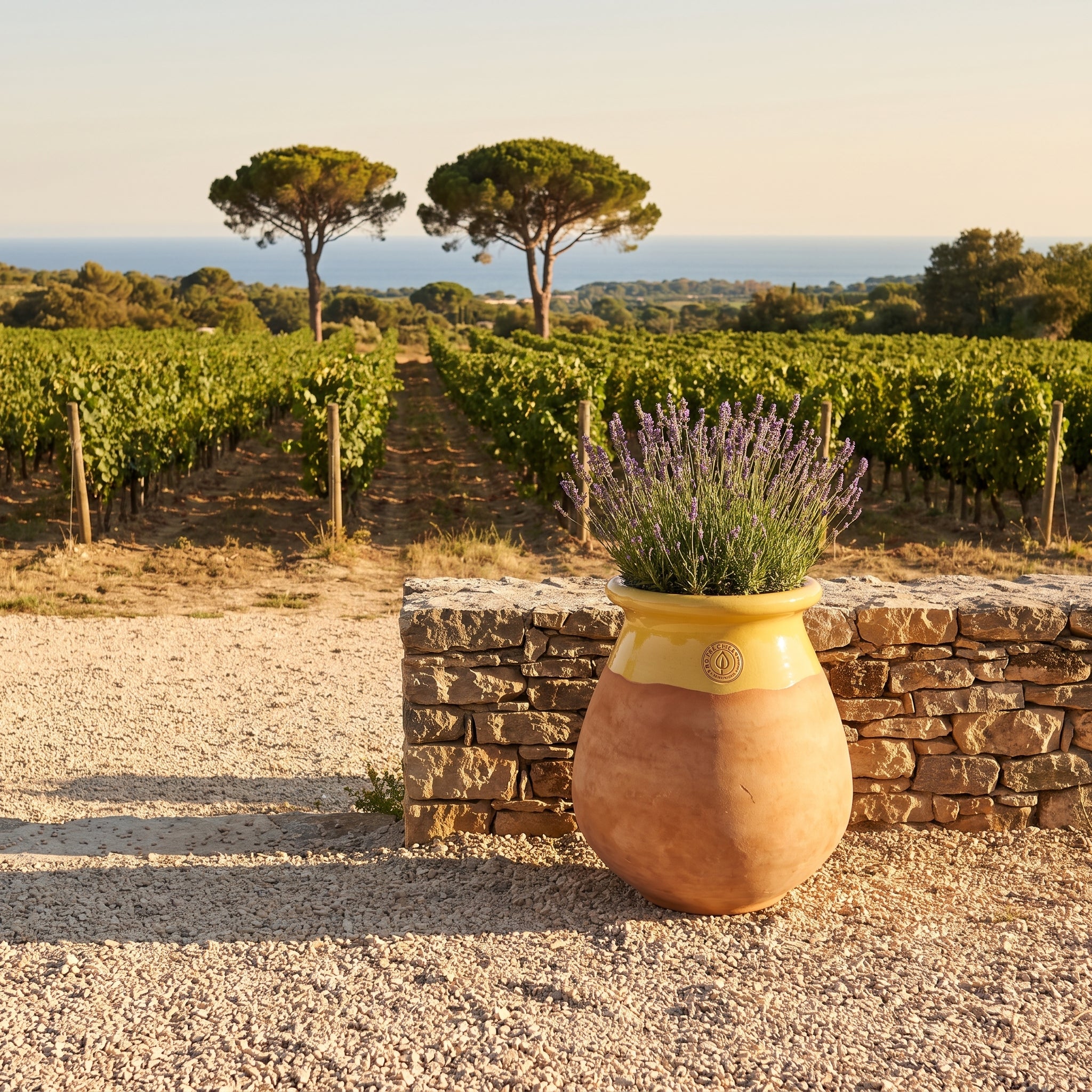 Provenzalischer Biot MADE IN PROVENCE – Terrakotta cérusée mit honigglasiertem Kragen - XL (63 cm)