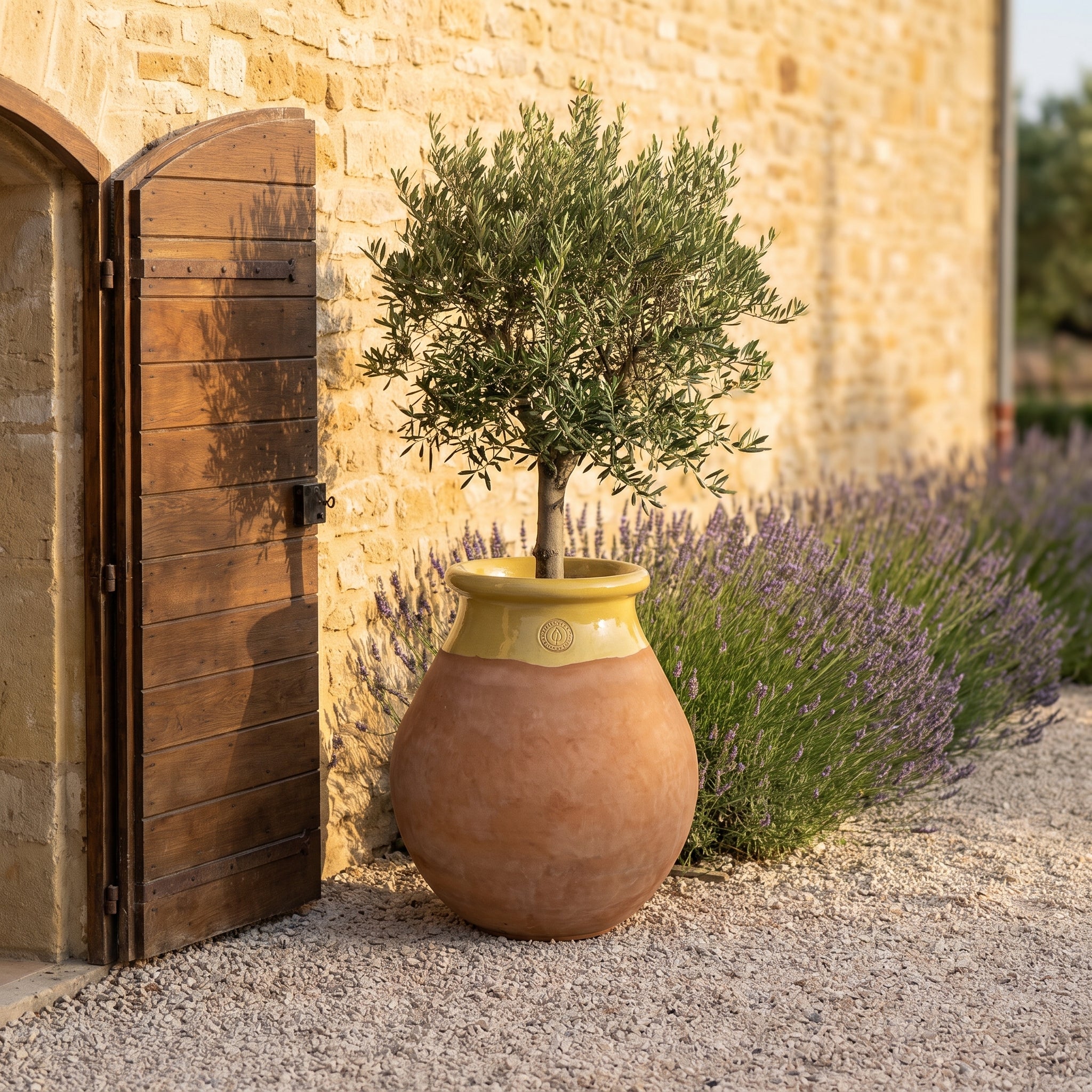Provenzalischer Biot MADE IN PROVENCE – Terrakotta cérusée mit honigglasiertem Kragen - 2XL (85 cm)