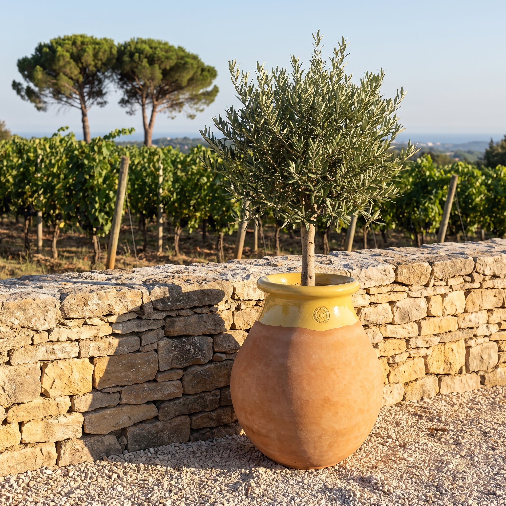Provenzalischer Biot MADE IN PROVENCE – Terrakotta cérusée mit honigglasiertem Kragen - 2XL (85 cm)
