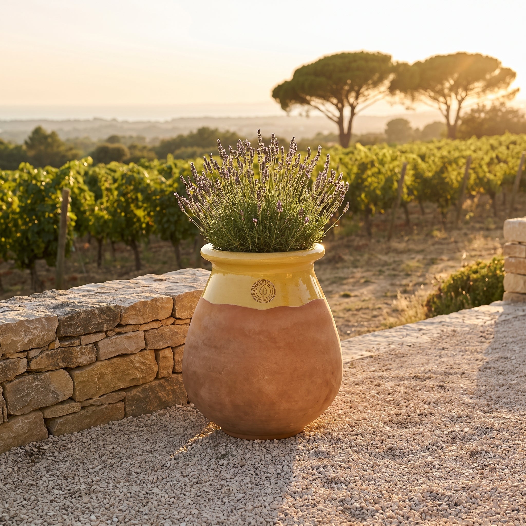 Provenzalischer Biot MADE IN PROVENCE – Terrakotta cérusée mit honigglasiertem Kragen - XL (63 cm)