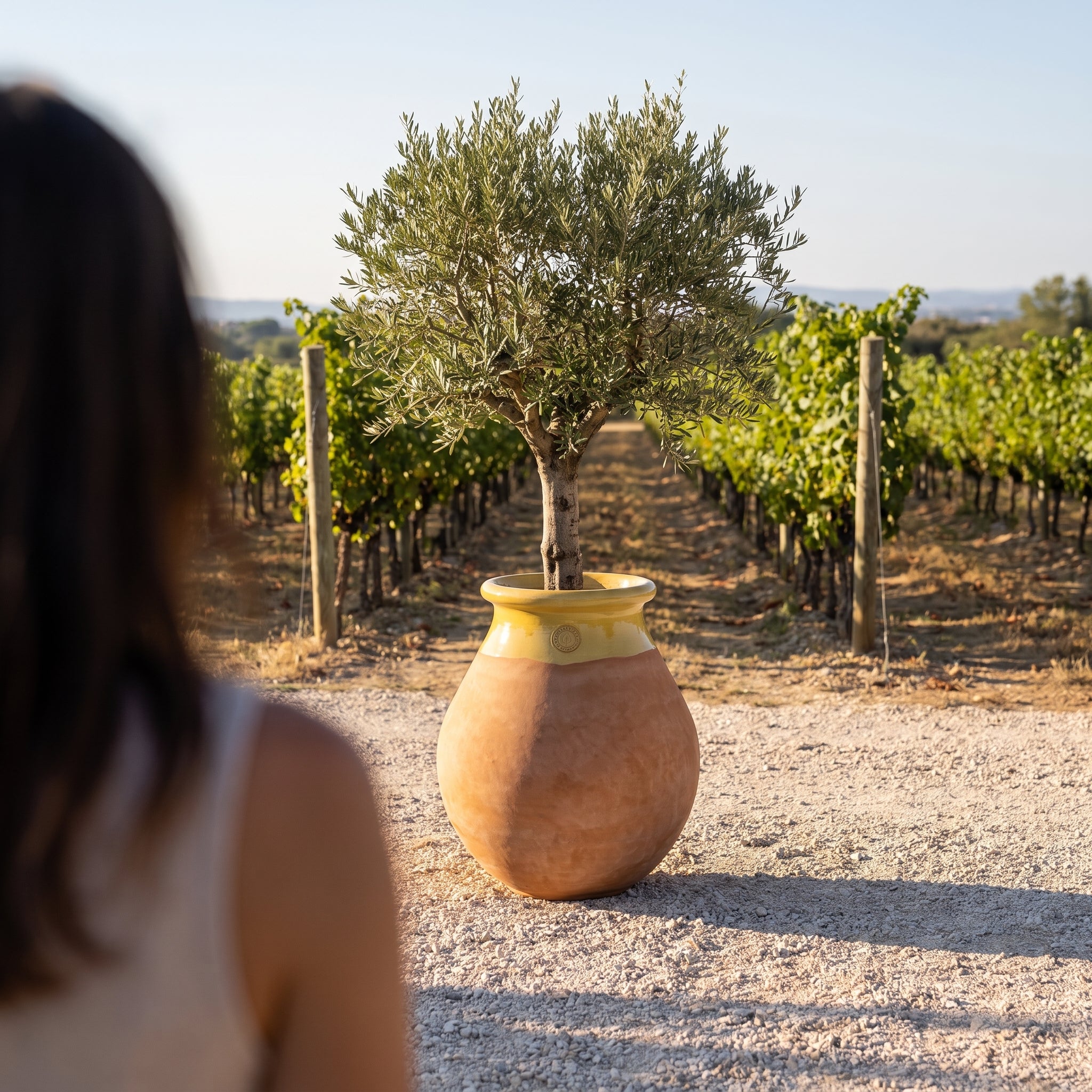 Provenzalischer Biot MADE IN PROVENCE – Terrakotta cérusée mit honigglasiertem Kragen - 2XL (85 cm)