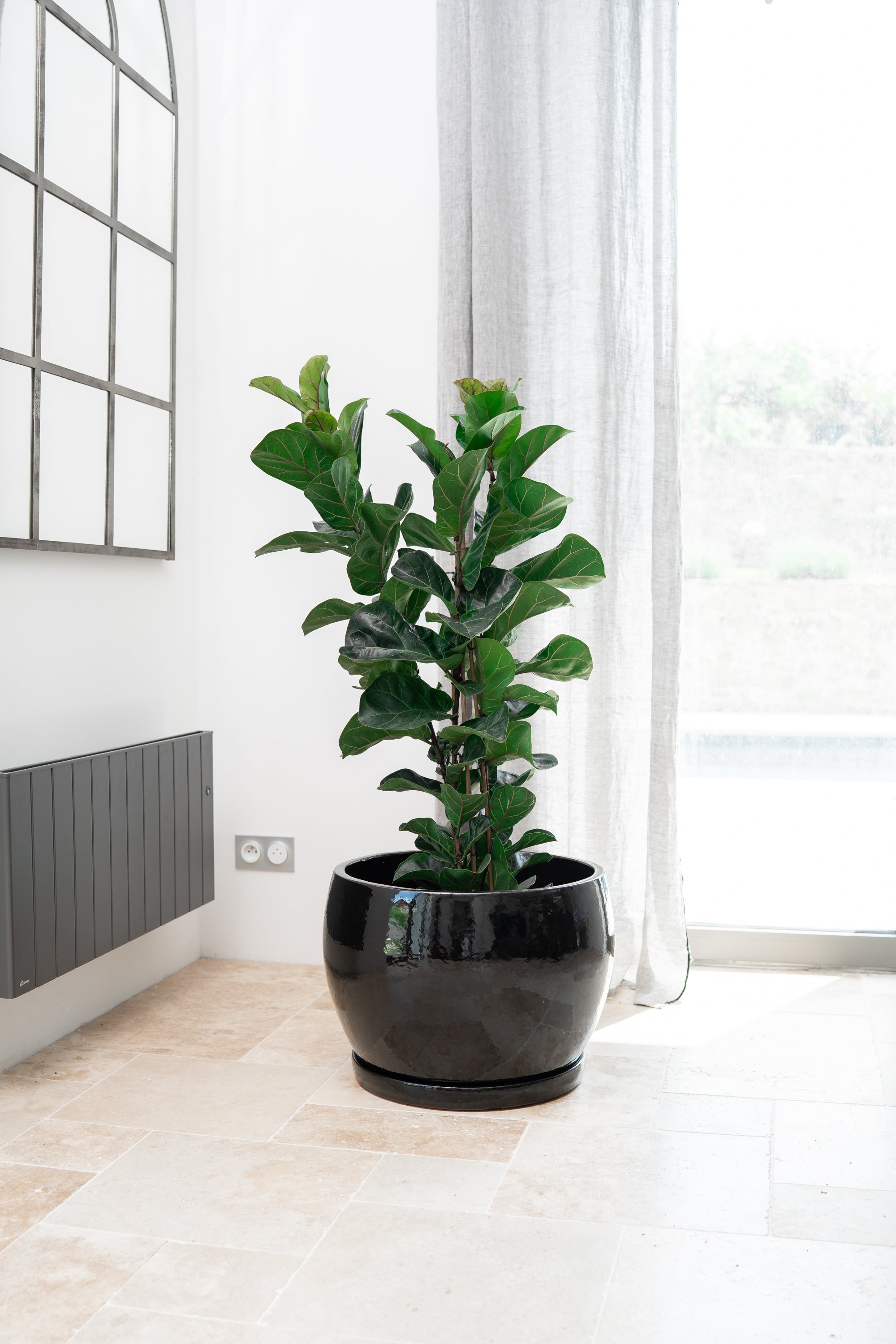 Keramik-Blumentopf Romulus - Schwarz