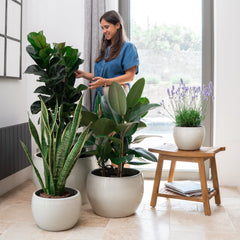 Keramicky květináč Romulus - Krémová