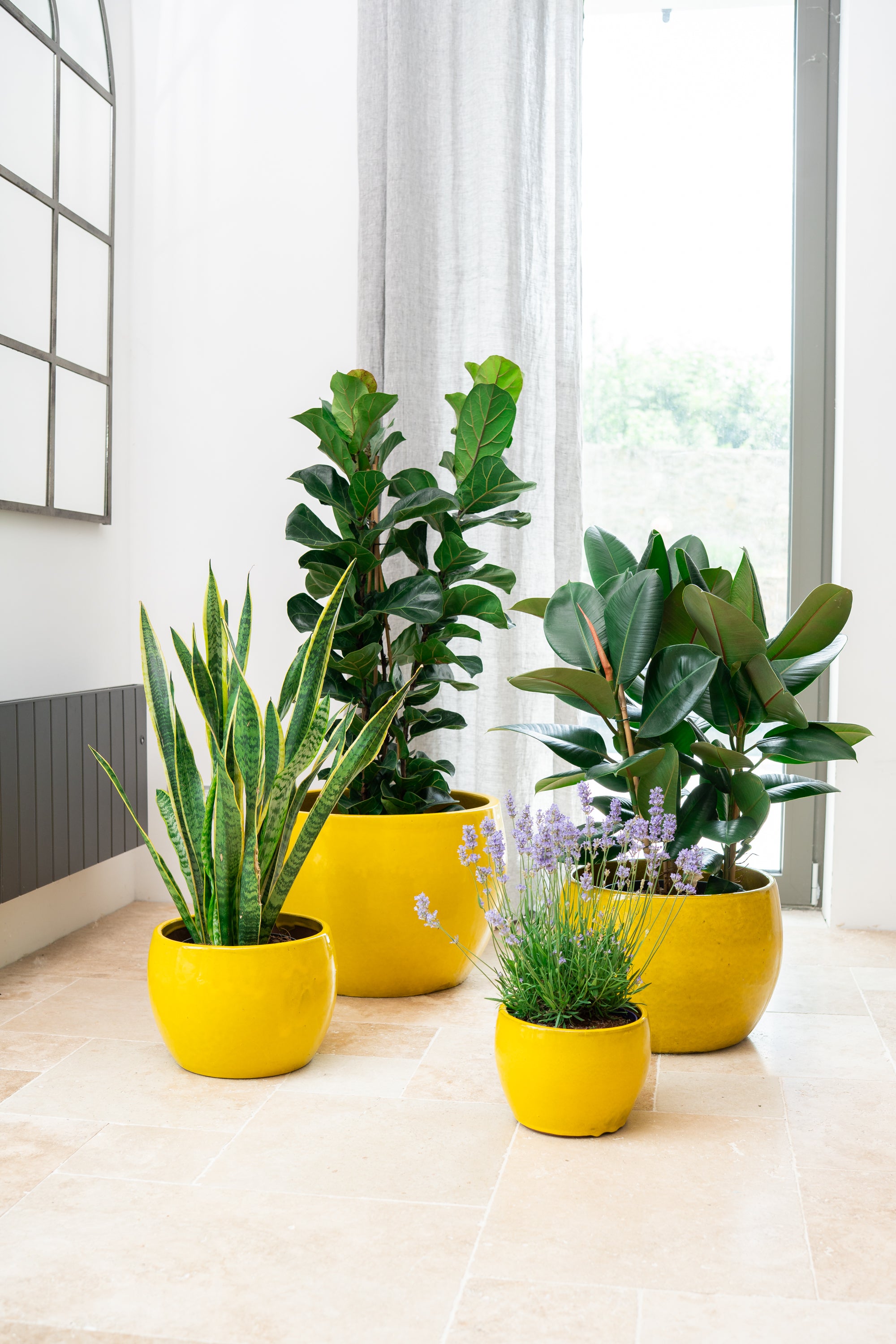 Keramik-Blumentopf Romulus - Gelb