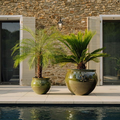 XXL Keramik-Blumentopf CLOVIS - Tropengrün